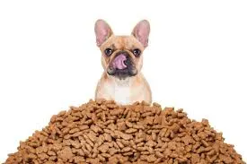 Por que devo dar uma ração Super Premium ao meu cão?