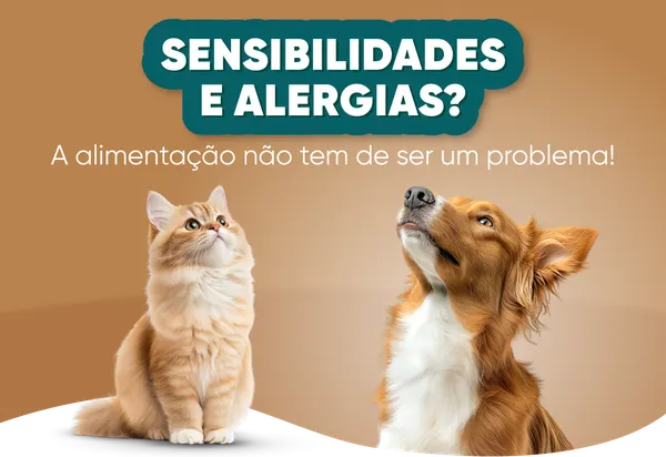 Alergias em cães e gatos: causas, sintomas e como tratar