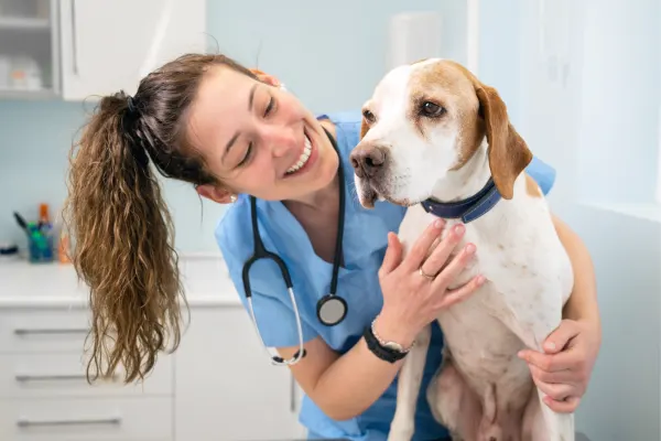Vacinas caninas: o que precisa de saber