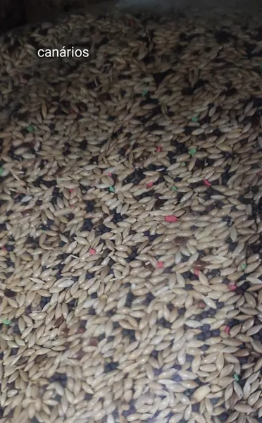 Mistura Canários 25 kg [ CASA GALRÂO ]