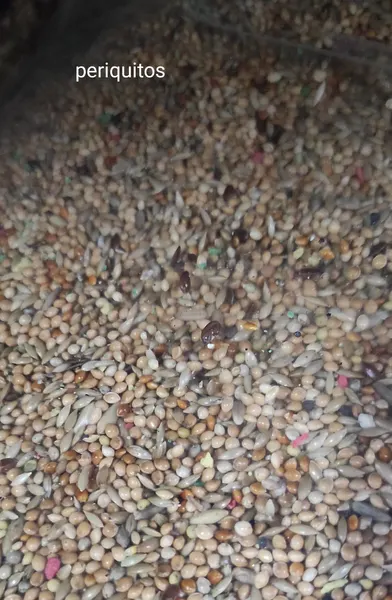 Mistura para periquitos 25 kg [ CASA GALRÂO ]