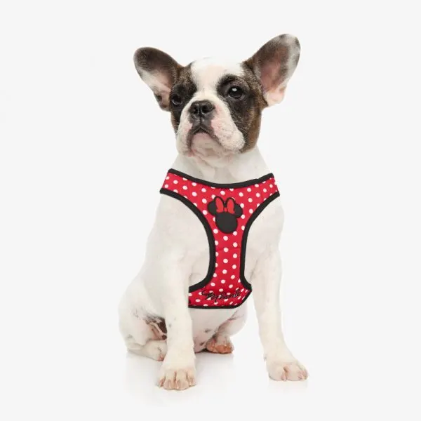 For Fan Pets Peitoral Soft Harness Disney Minnie Mousse