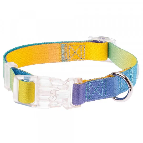 Ferribiella Coleira Motif Rainbow