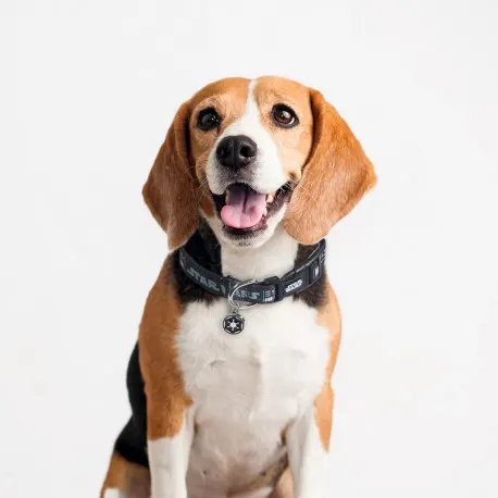 For Fan Pets Coleira Star Wars