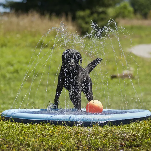 Ferribiella Piscina com Repuxos de Água