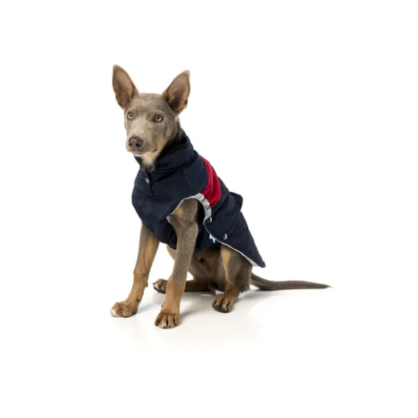 FUZZYARD Jacket Mac 2.0 Navy And Red