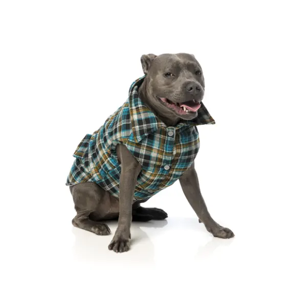 FUZZYARD Shacket Blue Checked