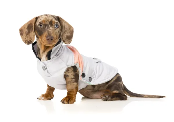 FUZZYARD Jacket Mac 2.0 Grey And Peach