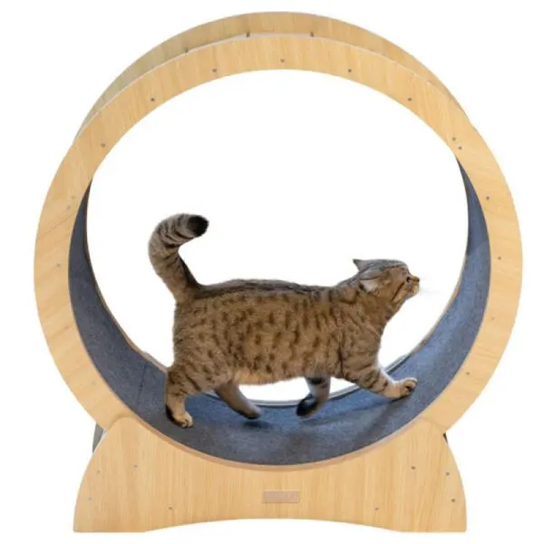 Kerbl Roda de exercício para gato