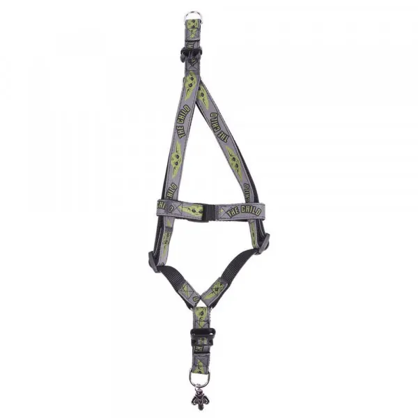 For Fan Warner Bros Star Wars Arnes Mandalorian